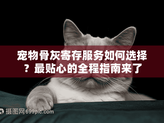 宠物骨灰寄存服务如何选择？最贴心的全程指南来了