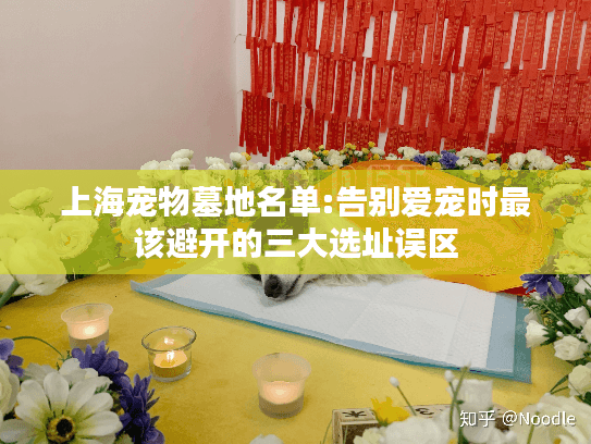 上海宠物墓地名单:告别爱宠时最该避开的三大选址误区