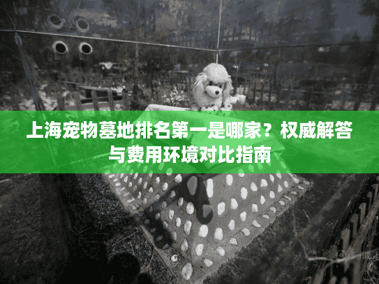 上海宠物墓地排名第一是哪家？权威解答与费用环境对比指南