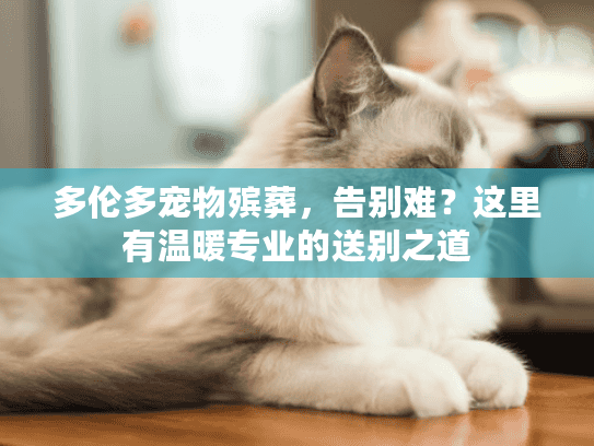 多伦多宠物殡葬，告别难？这里有温暖专业的送别之道