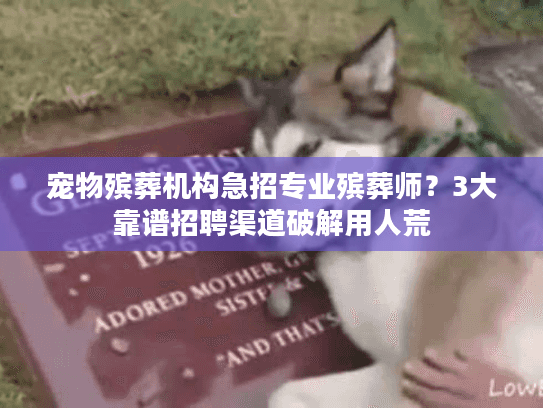 宠物殡葬机构急招专业殡葬师？3大靠谱招聘渠道破解用人荒