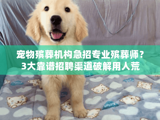 宠物殡葬机构急招专业殡葬师？3大靠谱招聘渠道破解用人荒