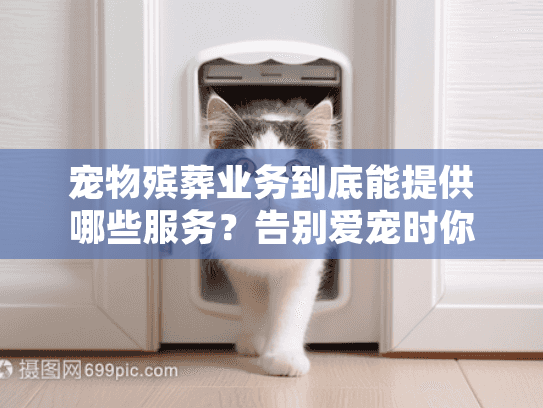 宠物殡葬业务到底能提供哪些服务？告别爱宠时你最需要了解的细节