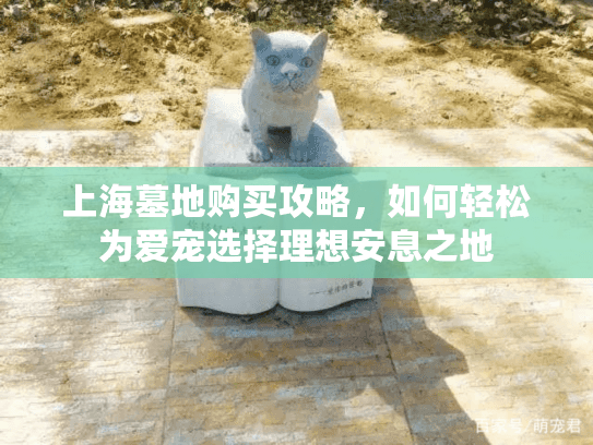 上海墓地购买攻略，如何轻松为爱宠选择理想安息之地