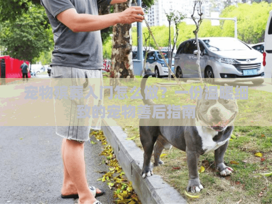 宠物殡葬入门怎么做？一份温暖细致的宠物善后指南