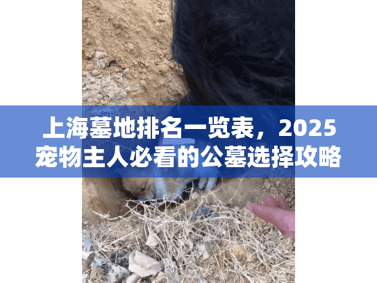 上海墓地排名一览表，2025宠物主人必看的公墓选择攻略