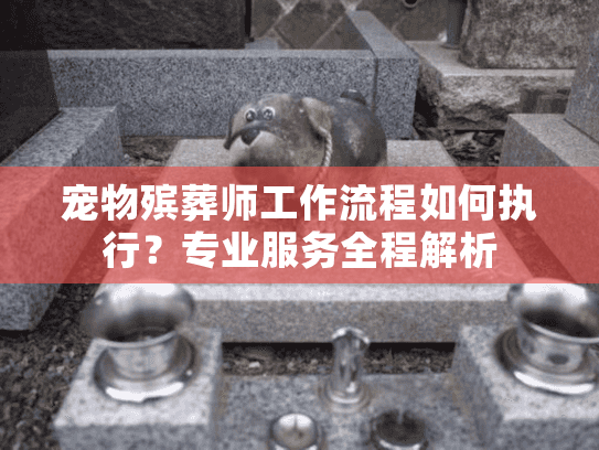 宠物殡葬师工作流程如何执行？专业服务全程解析