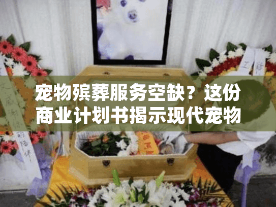 宠物殡葬服务空缺？这份商业计划书揭示现代宠物善终需求