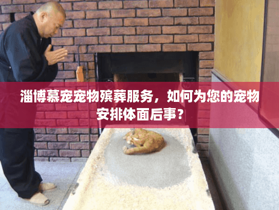 淄博慕宠宠物殡葬服务，如何为您的宠物安排体面后事？