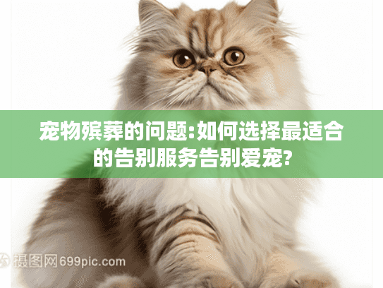 宠物殡葬的问题:如何选择最适合的告别服务告别爱宠?