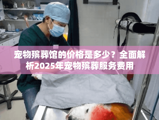 宠物殡葬馆的价格是多少？全面解析2025年宠物殡葬服务费用