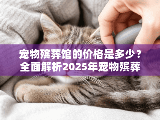 宠物殡葬馆的价格是多少？全面解析2025年宠物殡葬服务费用