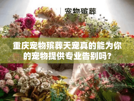 重庆宠物殡葬天宠真的能为你的宠物提供专业告别吗？