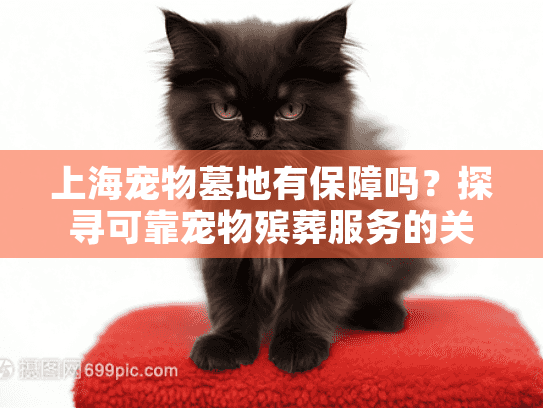 上海宠物墓地有保障吗？探寻可靠宠物殡葬服务的关键点