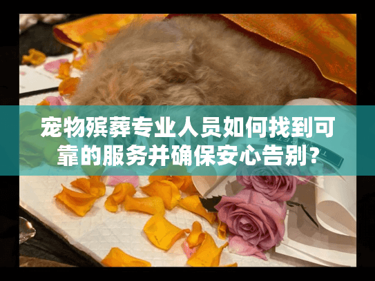 宠物殡葬专业人员如何找到可靠的服务并确保安心告别？
