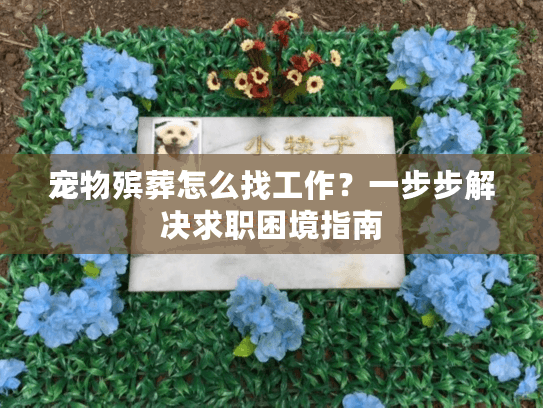 宠物殡葬怎么找工作？一步步解决求职困境指南
