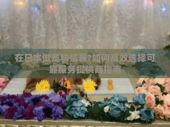 在日本做宠物殡葬?如何高效选择可靠服务提供商指南
