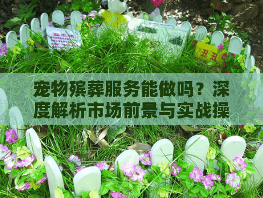 宠物殡葬服务能做吗？深度解析市场前景与实战操作