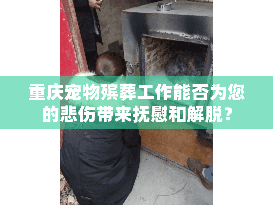 重庆宠物殡葬工作能否为您的悲伤带来抚慰和解脱？