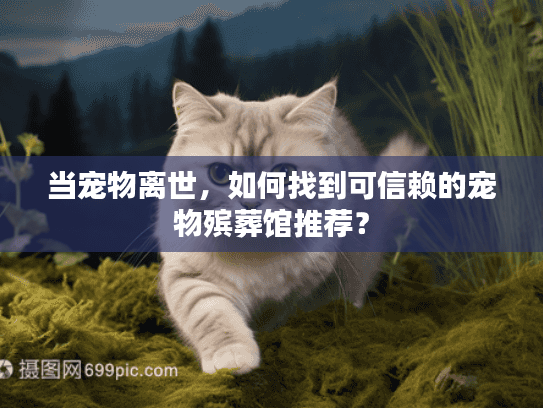 当宠物离世，如何找到可信赖的宠物殡葬馆推荐？
