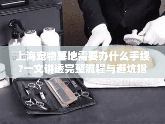 上海宠物墓地需要办什么手续?一文讲透完整流程与避坑指南