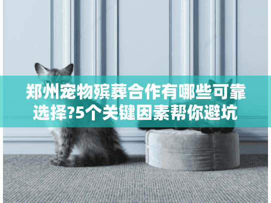 郑州宠物殡葬合作有哪些可靠选择?5个关键因素帮你避坑