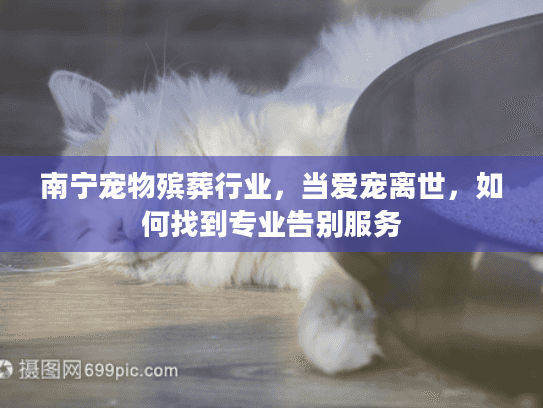南宁宠物殡葬行业，当爱宠离世，如何找到专业告别服务