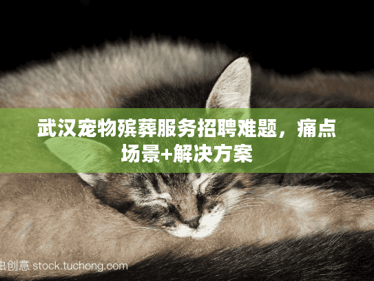 武汉宠物殡葬服务招聘难题，痛点场景+解决方案