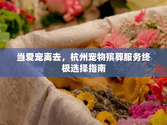 当爱宠离去，杭州宠物殡葬服务终极选择指南