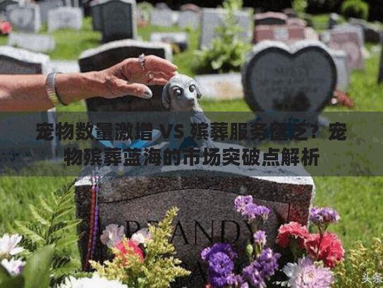 宠物数量激增 VS 殡葬服务匮乏？宠物殡葬蓝海的市场突破点解析