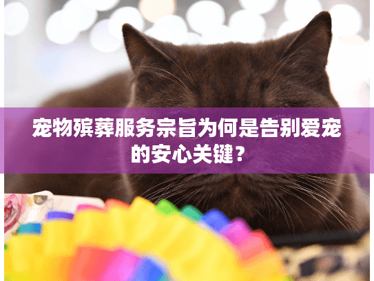 宠物殡葬服务宗旨为何是告别爱宠的安心关键？