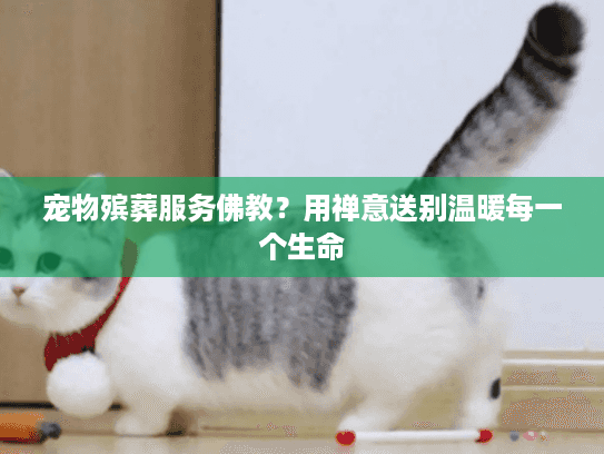 宠物殡葬服务佛教？用禅意送别温暖每一个生命