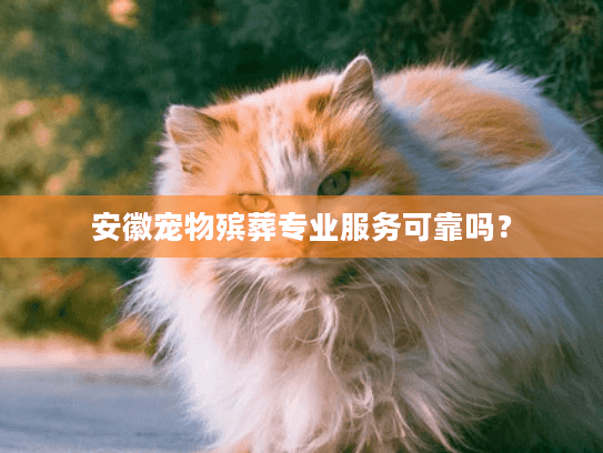 安徽宠物殡葬专业服务可靠吗？