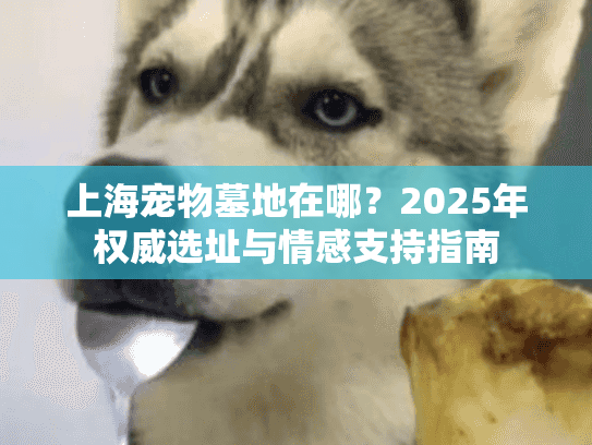 上海宠物墓地在哪？2025年权威选址与情感支持指南