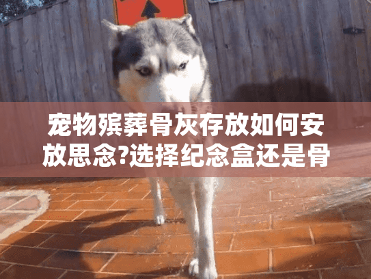 宠物殡葬骨灰存放如何安放思念?选择纪念盒还是骨灰存放馆服务?