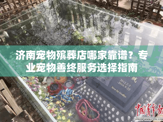 济南宠物殡葬店哪家靠谱？专业宠物善终服务选择指南