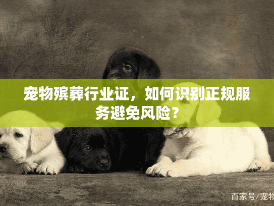 宠物殡葬行业证，如何识别正规服务避免风险？