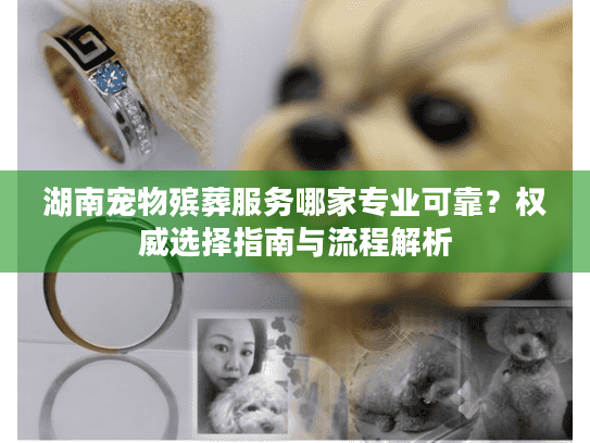 湖南宠物殡葬服务哪家专业可靠？权威选择指南与流程解析