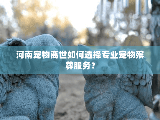 河南宠物离世如何选择专业宠物殡葬服务？