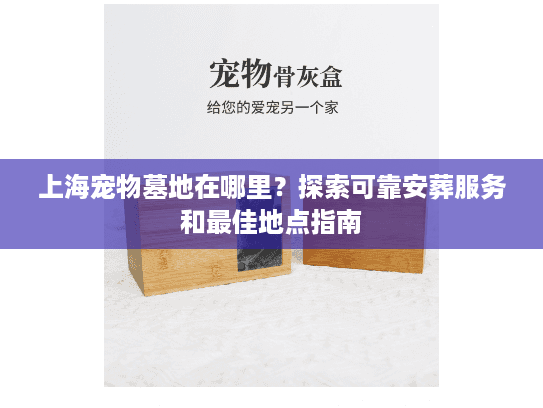 上海宠物墓地在哪里？探索可靠安葬服务和最佳地点指南