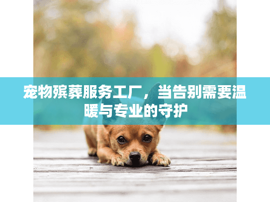 宠物殡葬服务工厂，当告别需要温暖与专业的守护