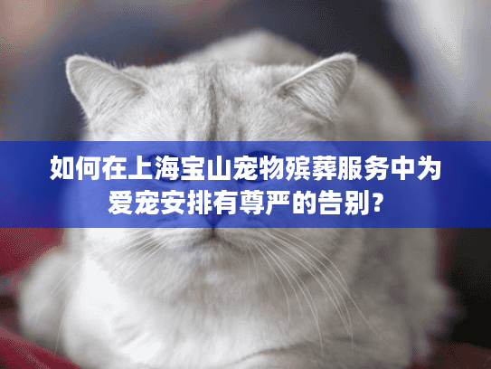 如何在上海宝山宠物殡葬服务中为爱宠安排有尊严的告别？