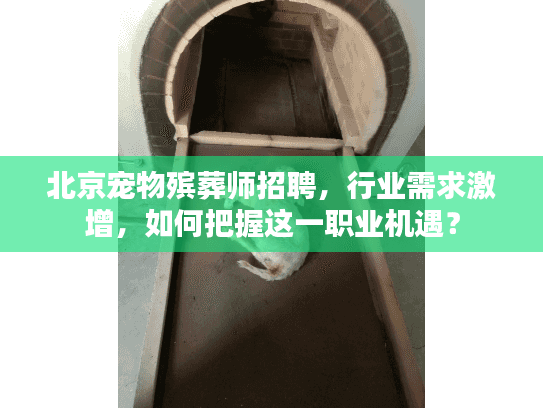 北京宠物殡葬师招聘，行业需求激增，如何把握这一职业机遇？