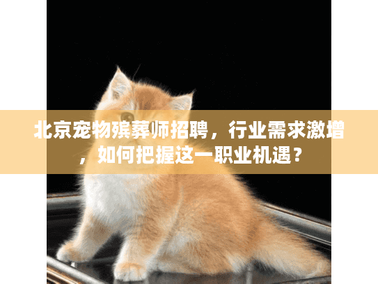 北京宠物殡葬师招聘，行业需求激增，如何把握这一职业机遇？