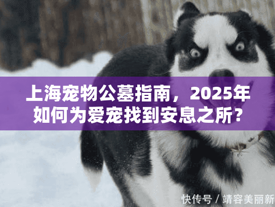 上海宠物公墓指南，2025年如何为爱宠找到安息之所？