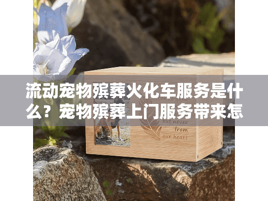 流动宠物殡葬火化车服务是什么？宠物殡葬上门服务带来怎样的改变？