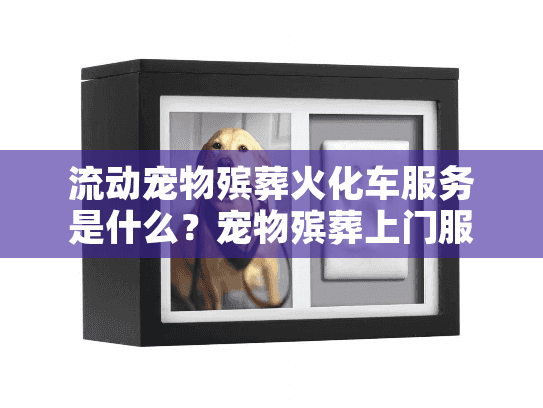 流动宠物殡葬火化车服务是什么？宠物殡葬上门服务带来怎样的改变？