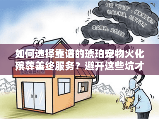 如何选择靠谱的琥珀宠物火化殡葬善终服务？避开这些坑才算安心告别
