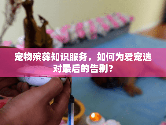 宠物殡葬知识服务，如何为爱宠选对最后的告别？
