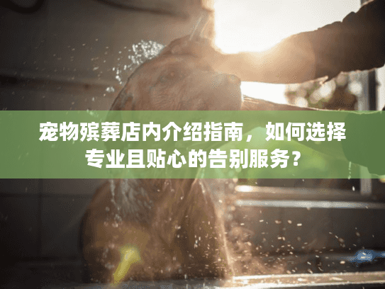 宠物殡葬店内介绍指南，如何选择专业且贴心的告别服务？
